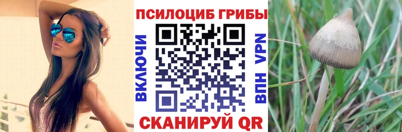 Псилоцибиновые грибы прущие грибы  Купить где  Малоархангельск 