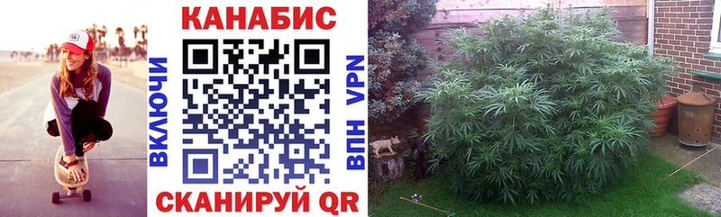Бошки Шишки сатива  Купить закладки  Малоархангельск 